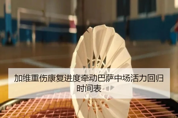 加维重伤康复进度牵动巴萨中场活力回归时间表